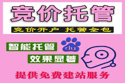 百度品牌专区推广的成效与案例